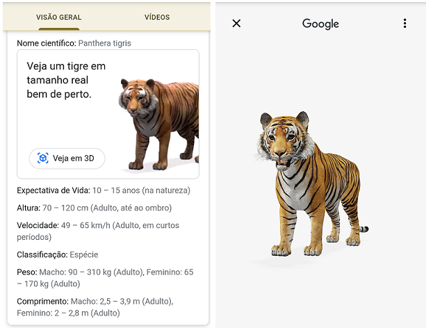 Animais em 3D do Google: veja como usar no Android e no iPhone