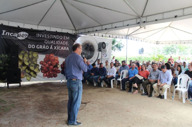 Café: Produtores realizam poucas vendas de conilon, apesar dos